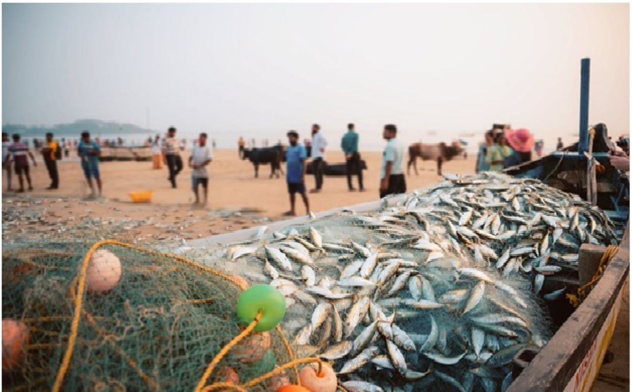 FAO Report 2026: India Becomes World's Second-Largest Producer of Aquatic Animals